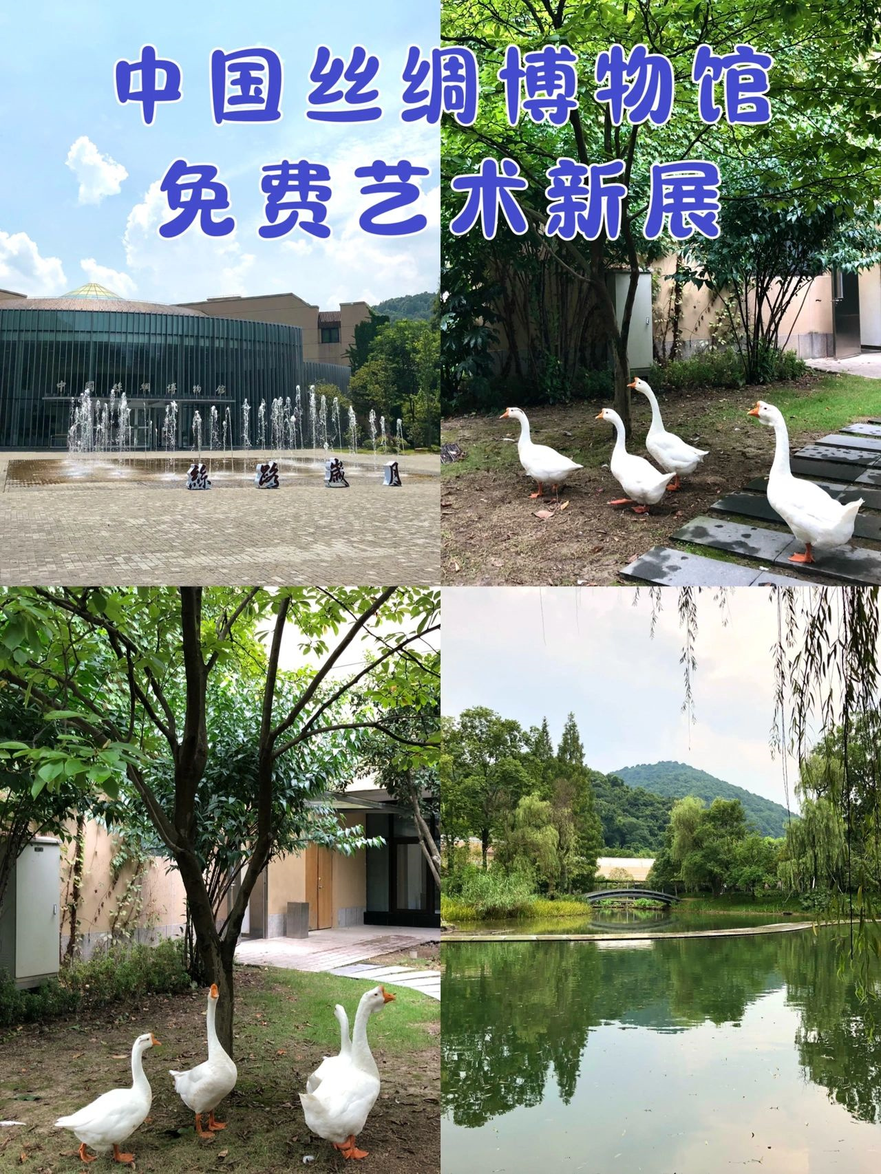 🍄杭州的集美们，国丝又有新展啦🌈