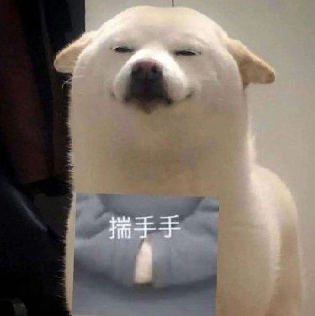 oc的意思#oc是什么意思#