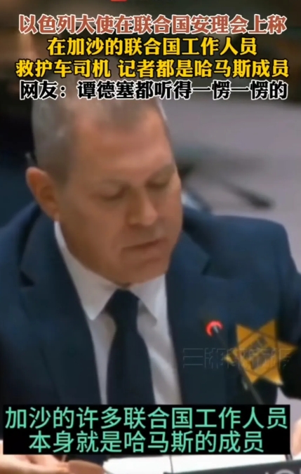 听了以色列大使在联合国安理会上的话，
世卫组织总干事谭德塞一脸懵逼。
以色列驻联