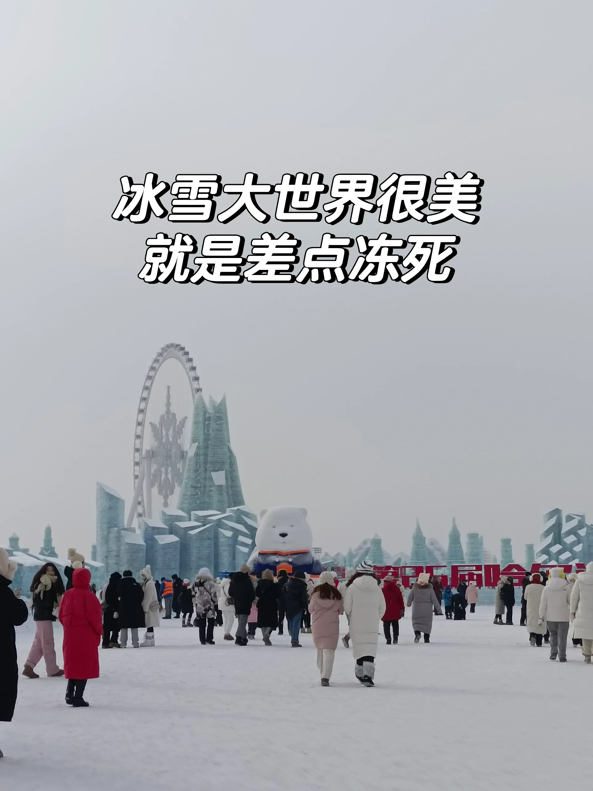从尔滨回来，继续踏马写写写写写！