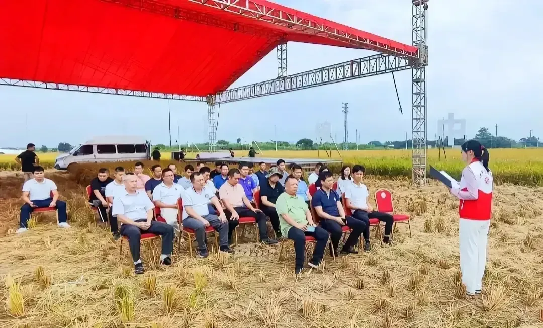 形式主义已经到了登峰造极的地步，令人发指！一群穿着光鲜亮丽的人在田间地头搭台做着