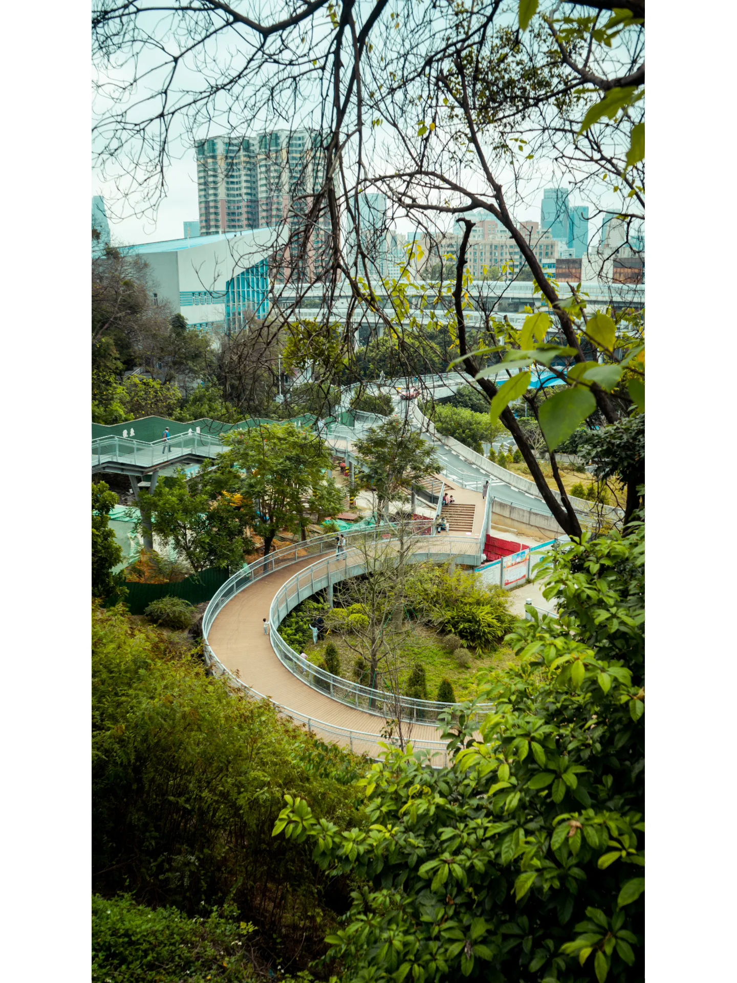 广州最美城市漫步路线 | 广州云道