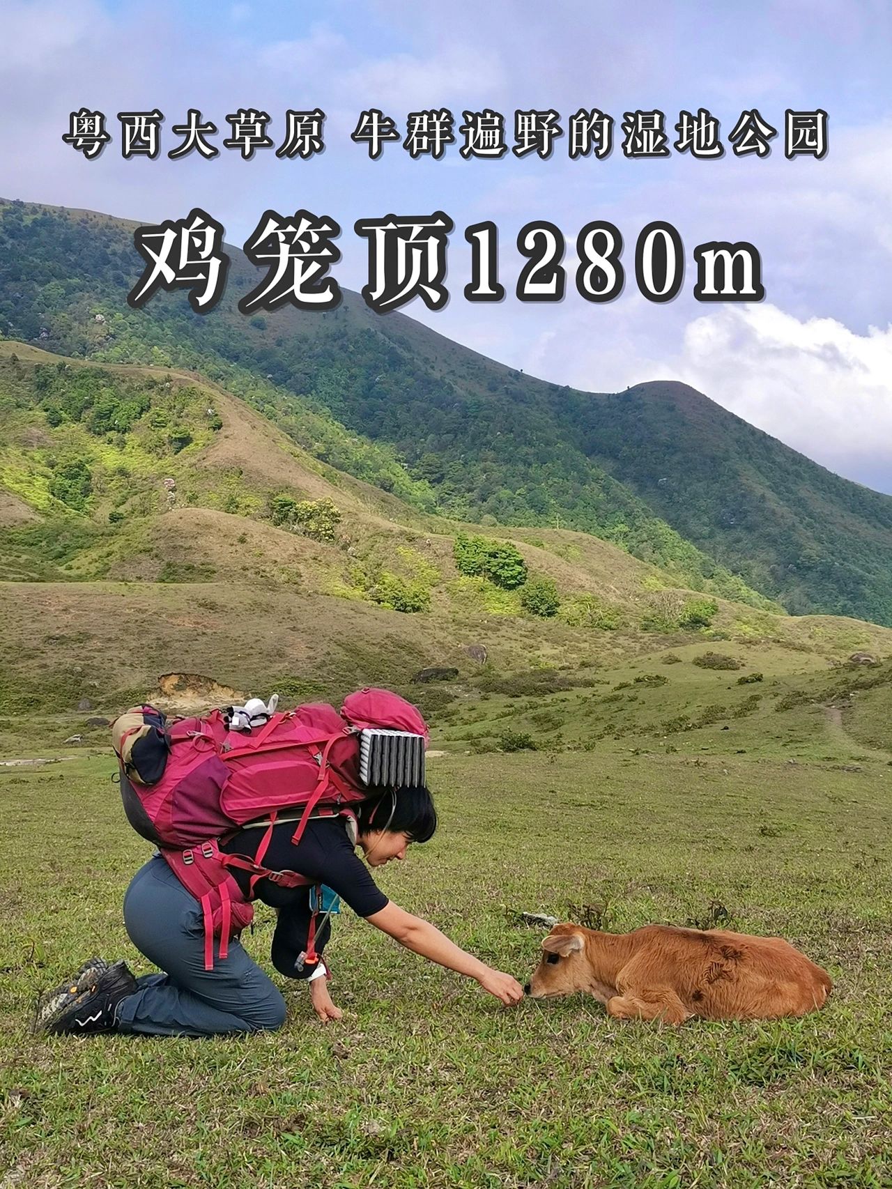 阳春鸡笼顶 两天一夜徒步高山草甸露营