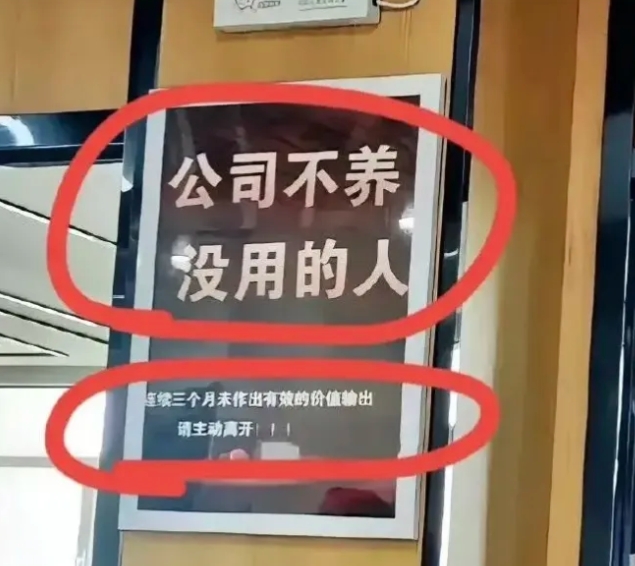 真的有这样的公司吗？这样的公司，你能待多久？