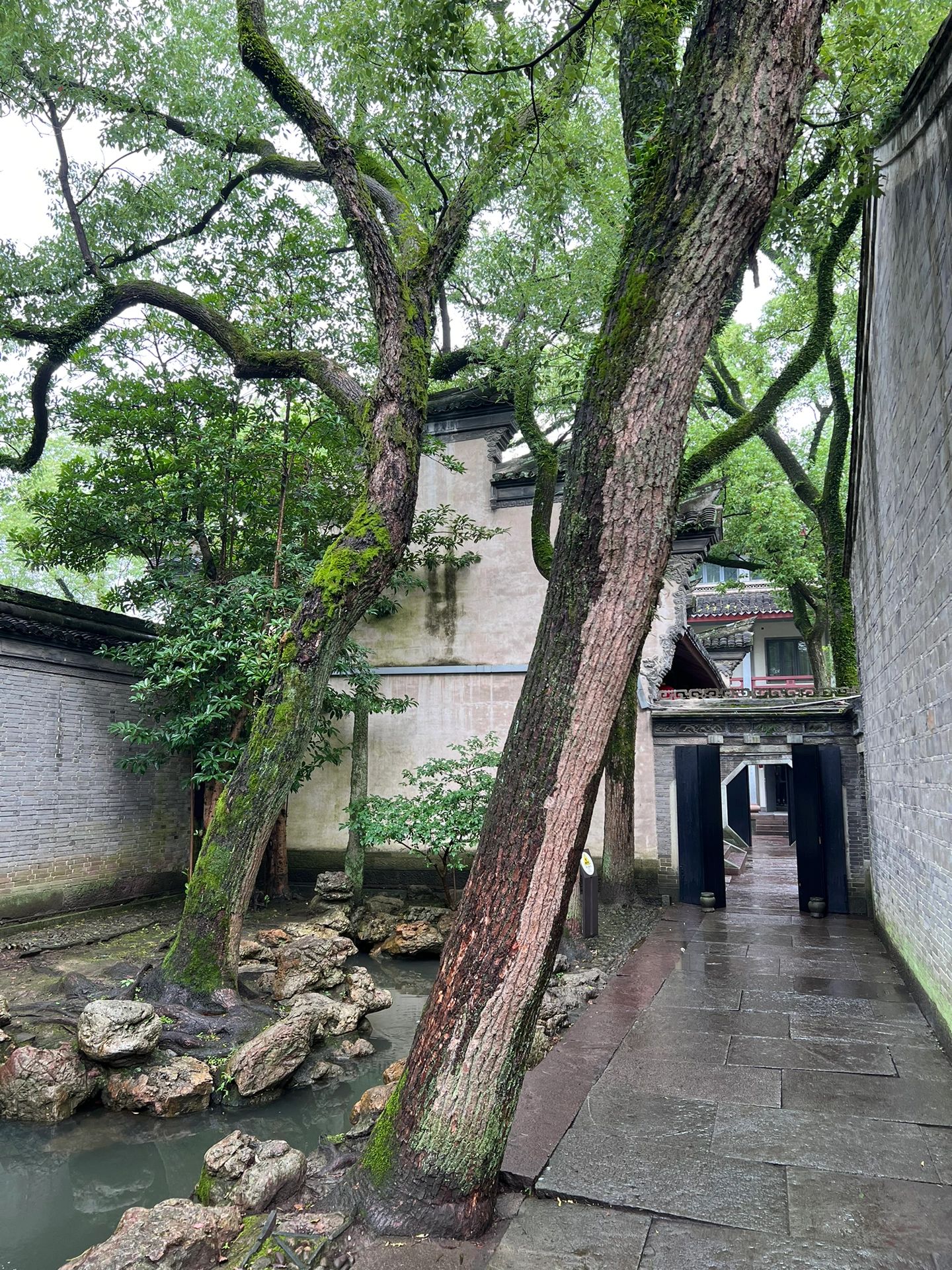 天一阁也太美了