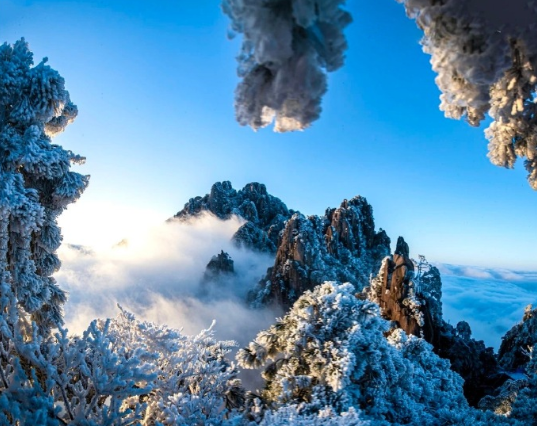 南方小金豆们，三清山的雪同样让人“狂热”

各位小金豆
冬季已过一半
你们都看到
