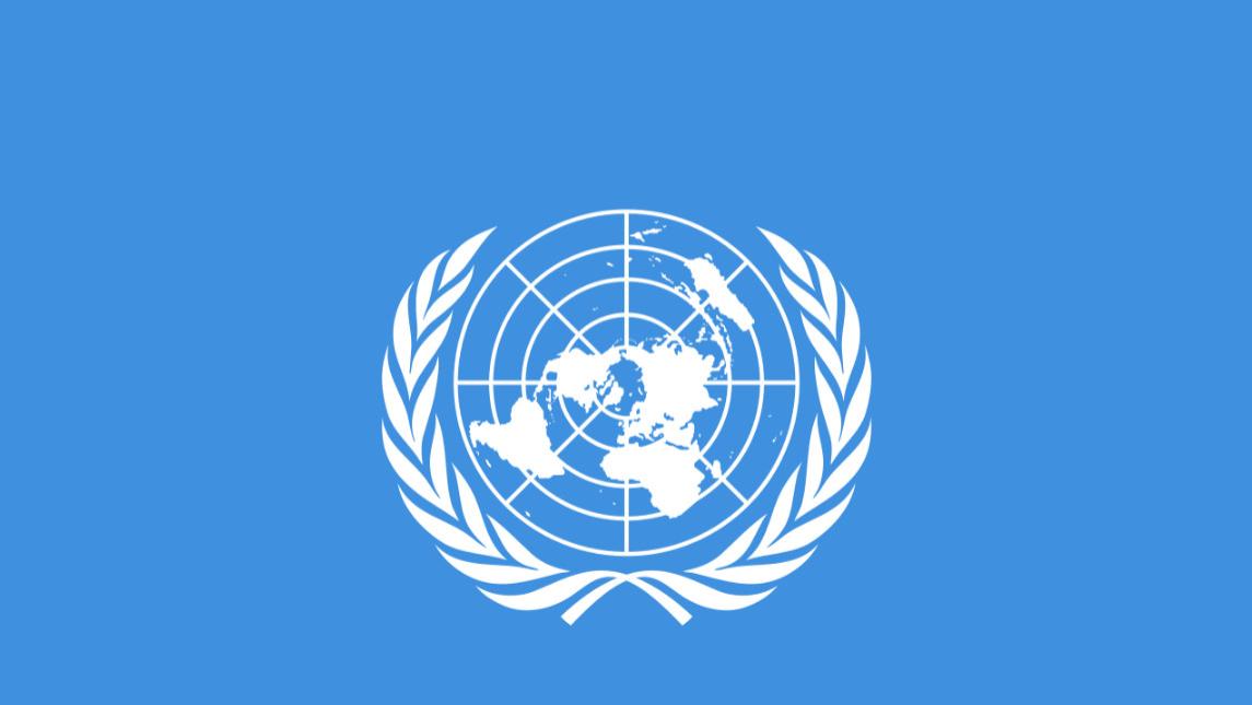 1971年我国重返联合国有35票反对知道有谁吗？有的还受到我们帮助