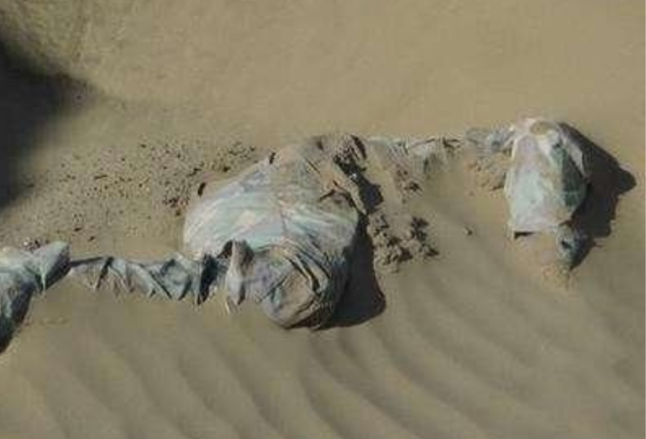 这张照片拍摄于2016年，探险队在罗布泊的沙漠里，发现了一具干尸，根据他身上残留