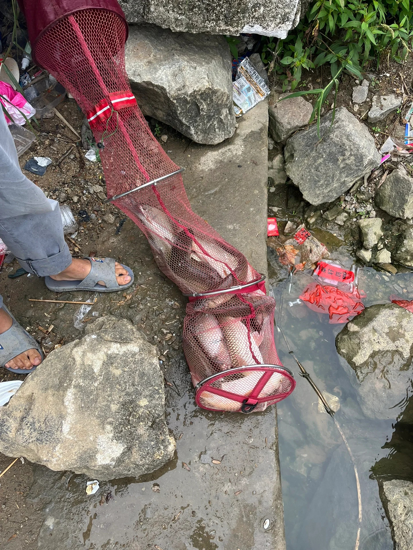 东莞免费钓点推荐