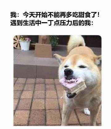 我本人生活被做成梗图：