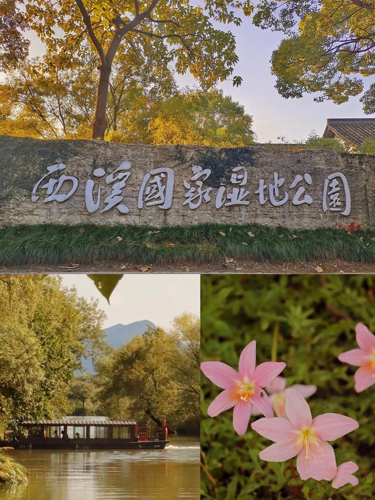 去了1万次杭州‼️用心整理的旅游攻略