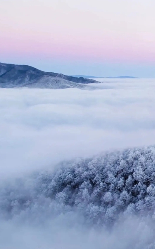 秋问秋雨秋曾凉，冬望冬雪冬期藏 。 ​
