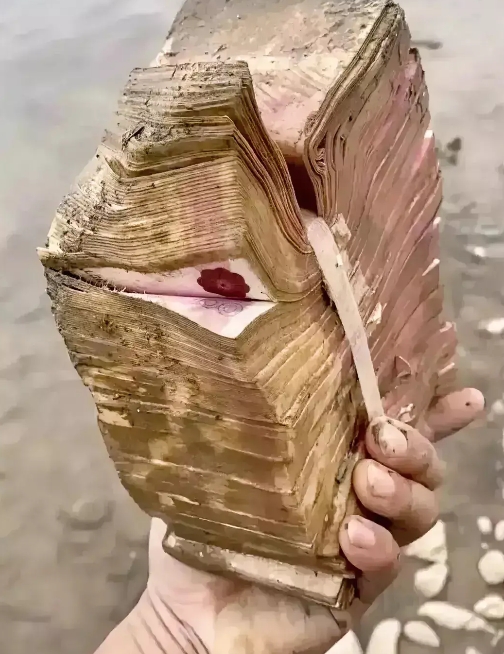 十年前，朋友放我这两瓶贵州茅台飞天53度酒，后来他就出国了。我俩都忘了这事了。
