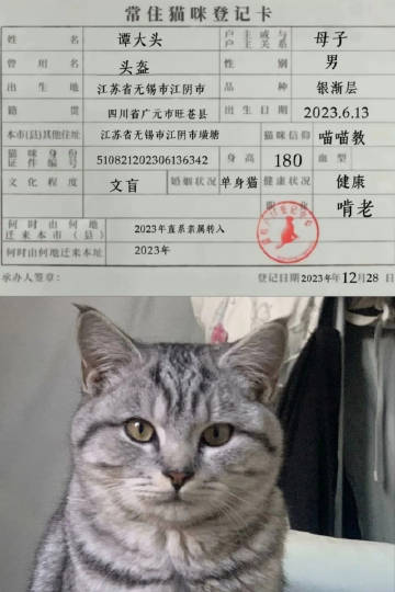 听说猫咪被冠以主人的姓氏下辈子就不用再投胎当动物了.