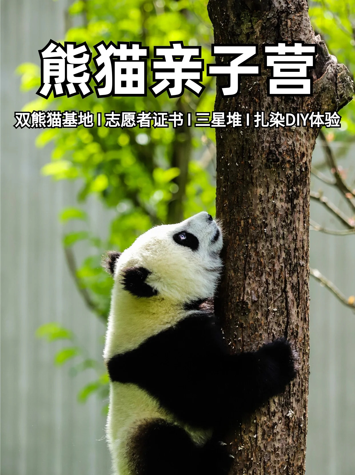 ☘️“懒人版”带娃攻略，成都5天游