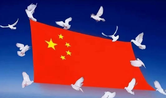 中央为什么搞了个“五年反贪规划”？
就是为了：
1. 把贪污腐败干掉，全方位打击