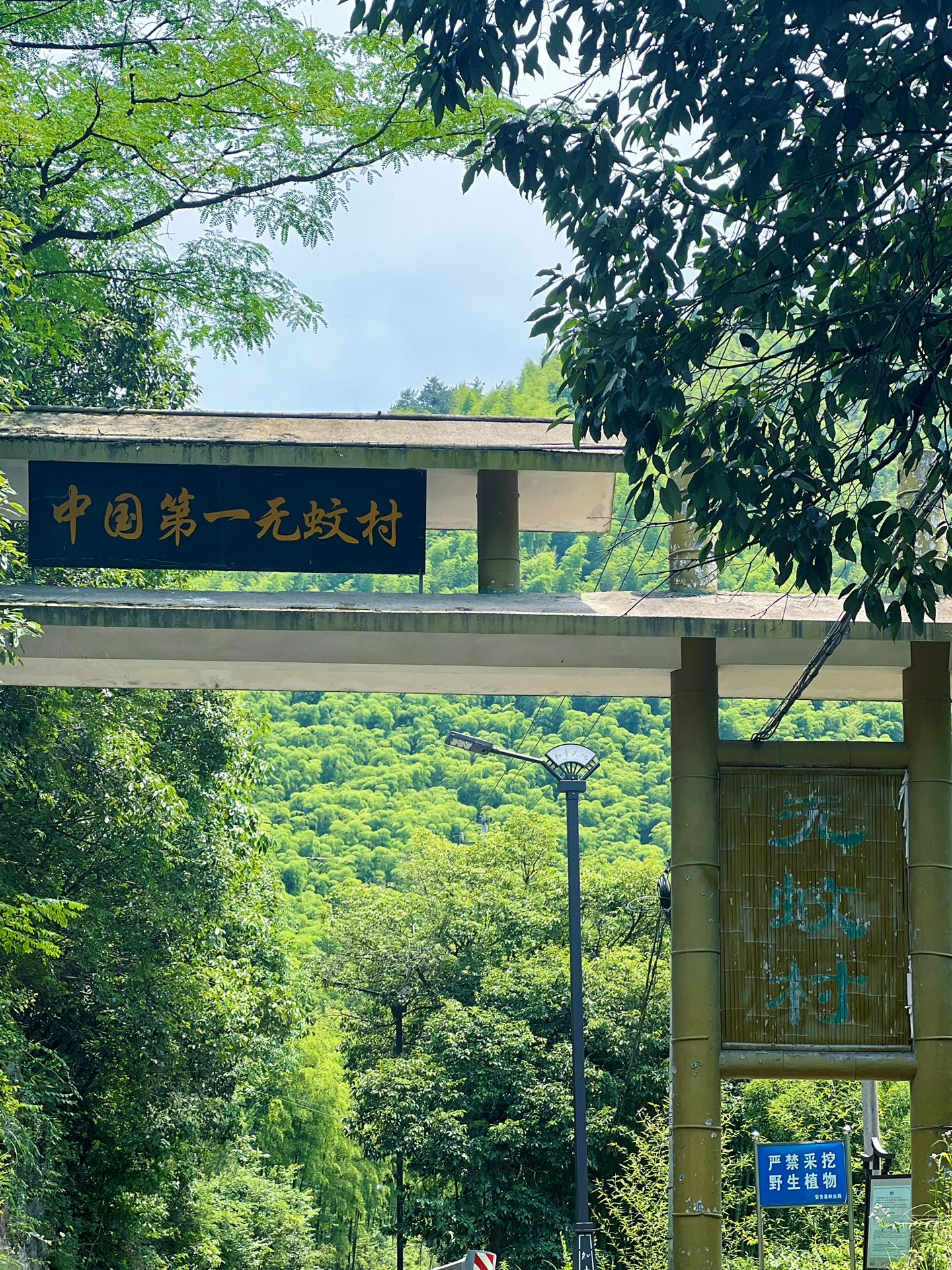 小众玩水地：中国第一无蚊村，真没蚊子