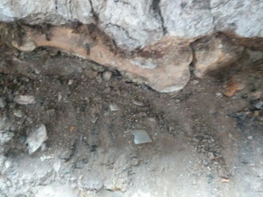 在日本侵华731遗址的“焚烧坑”，老周我当年在其中一条坑道蹲了很久很久，一众人只