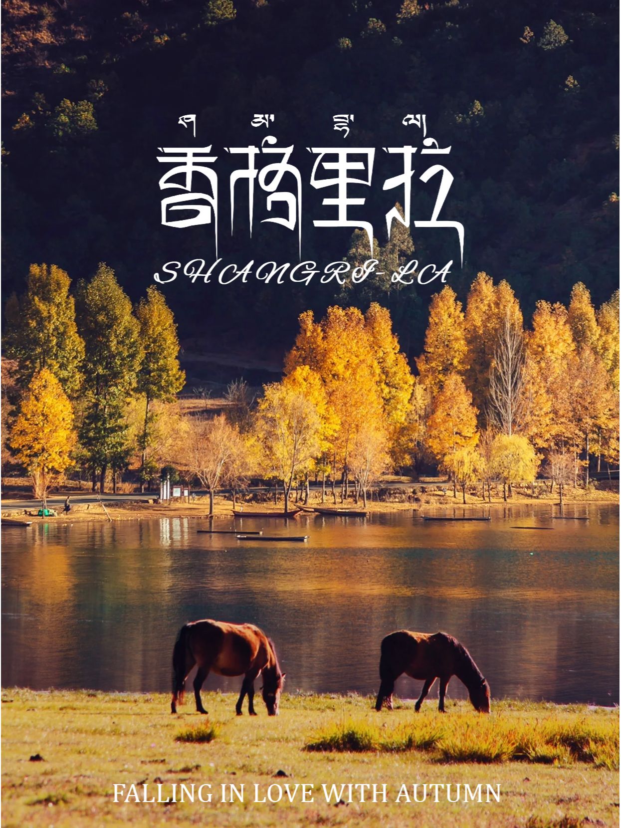 10月-11月这里的秋色绝美