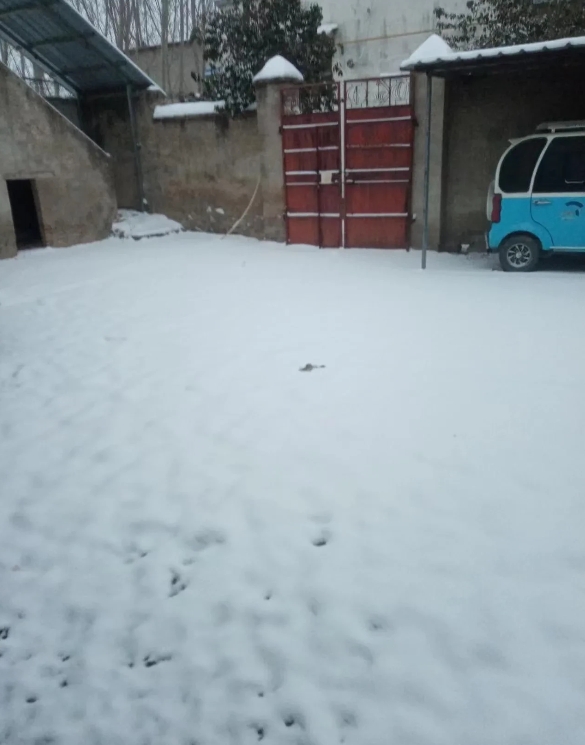 老妈又一个人在楼上铲雪了，院子里的雪她也天天扫。她还说去年在我们小区，有个保洁阿