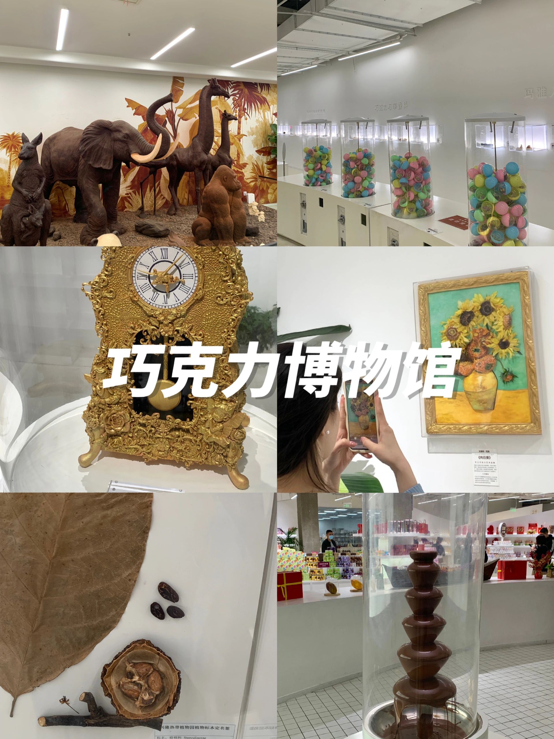 游记｜大学生放假去哪玩|上海版