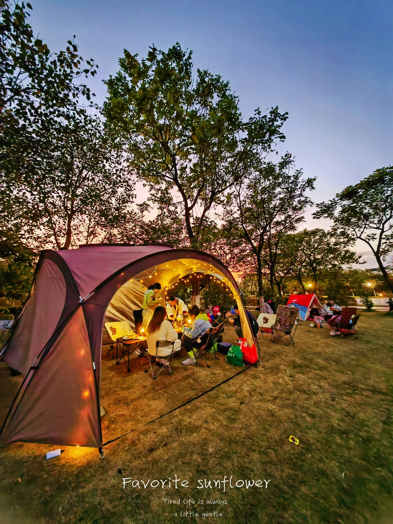 广州露营🏕️好去处（ 江北休闲绿地）