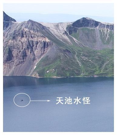 【“水怪”又来了？长白山天池发现神秘生物，只露头部】

9月8日消息，目击者称他