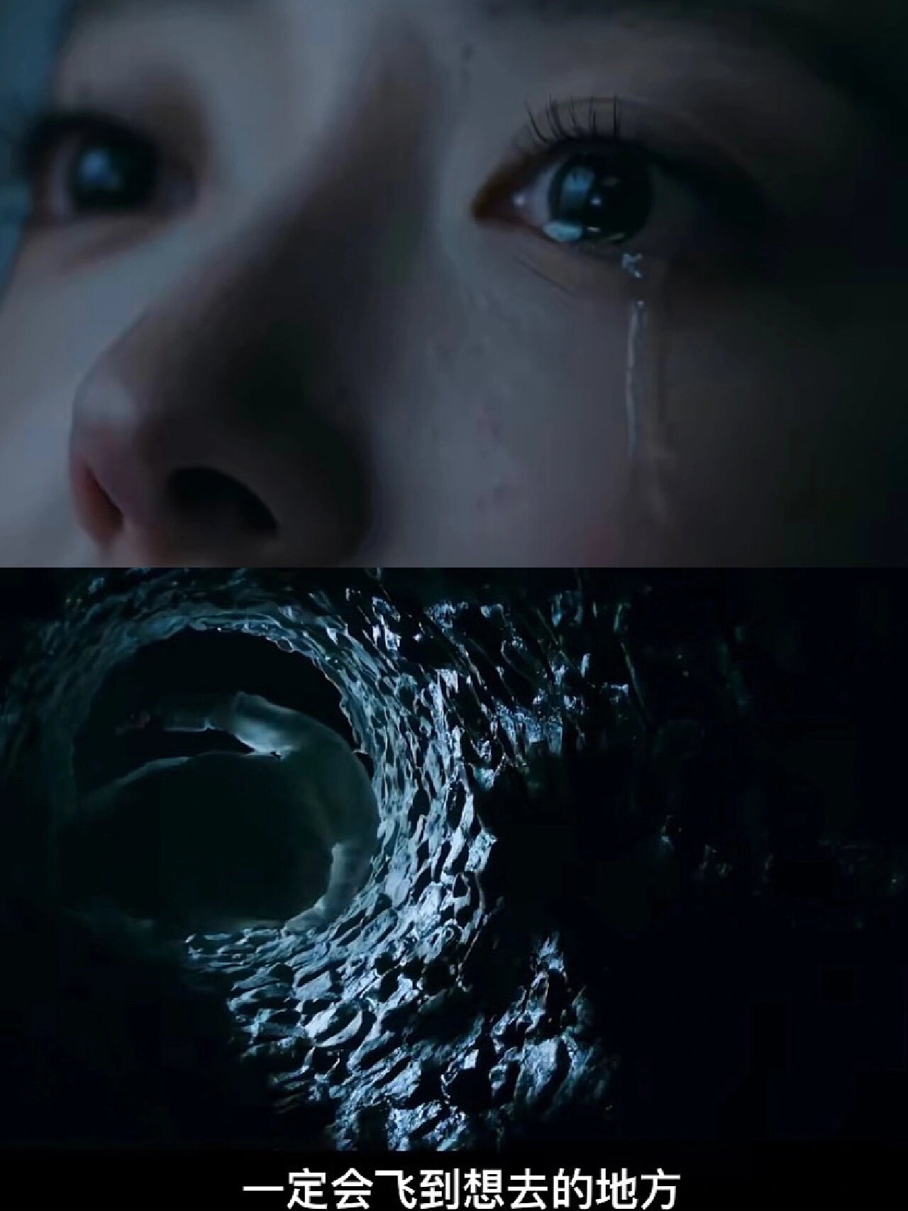 穿越剧鲨疯了!古穿今先婚后爱!