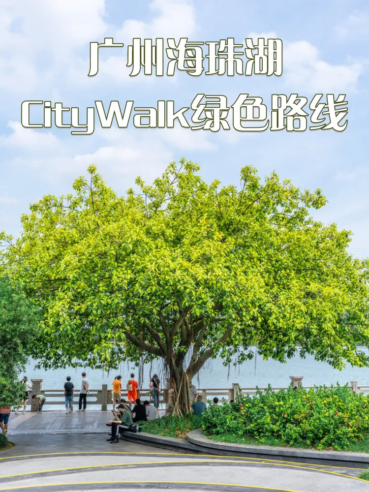 广州citywalkll海珠湖遛娃徒步