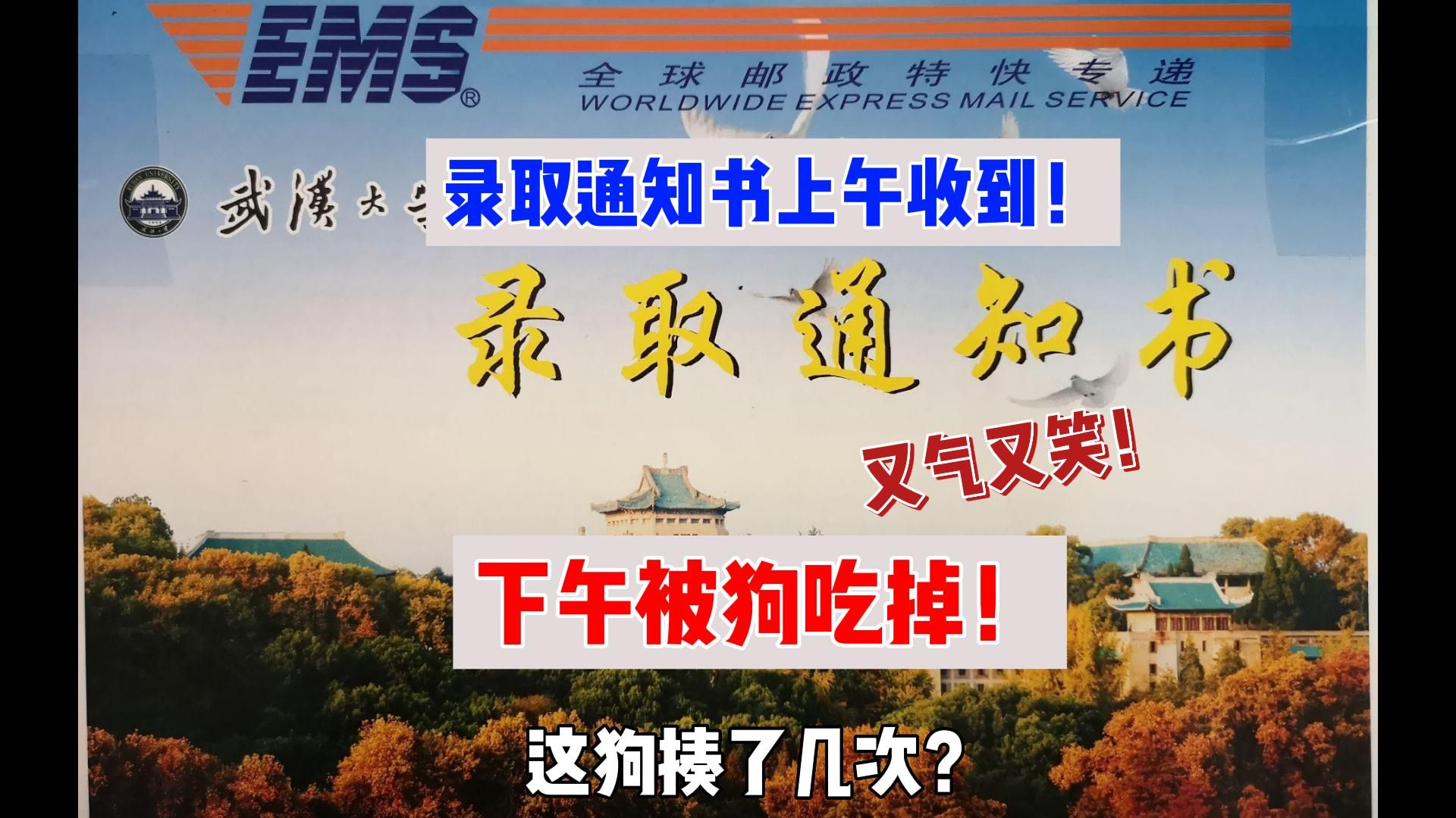 笑死~大学录取通知书上午收到 下午被狗吃掉
