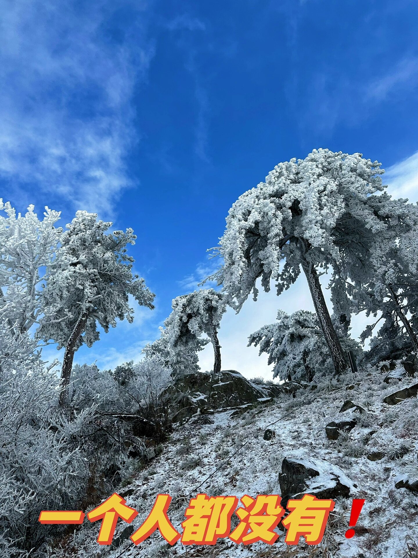 我们在安吉发现了一个赏雪秘密基地✅
