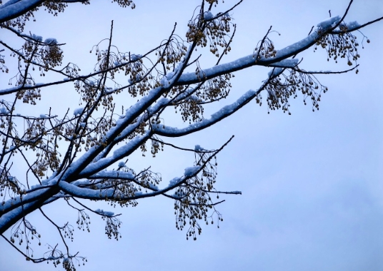 下雪啦下雪啦，2024年的第一场大雪～
下午工会还组织了赏雪活动，和小伙伴们与局