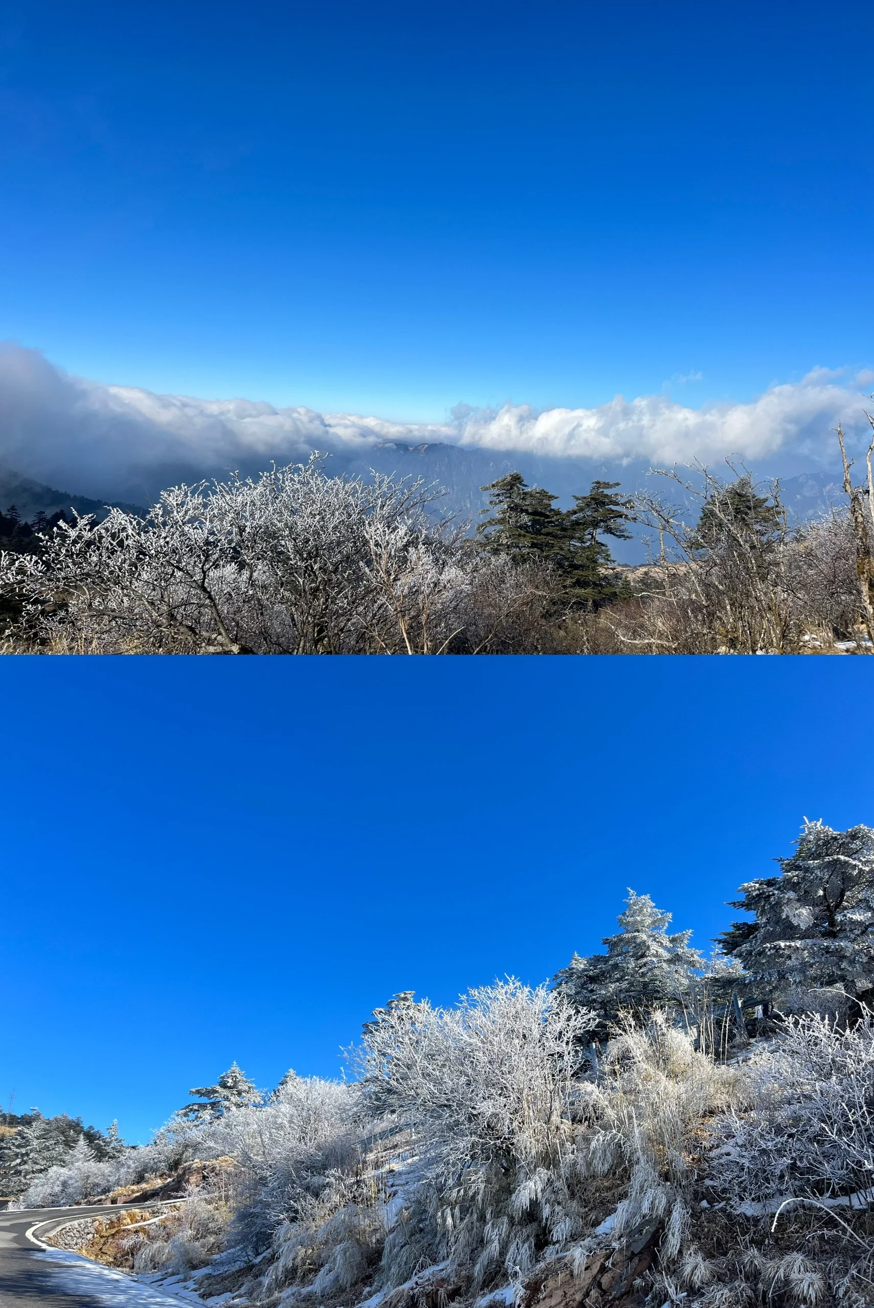 武汉—神农架滑雪最全攻略🐰