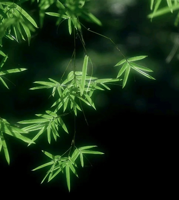 两年前，我发现老公背叛了我，对方是一个已婚女人。她有自己的家庭和孩子，却还和我老