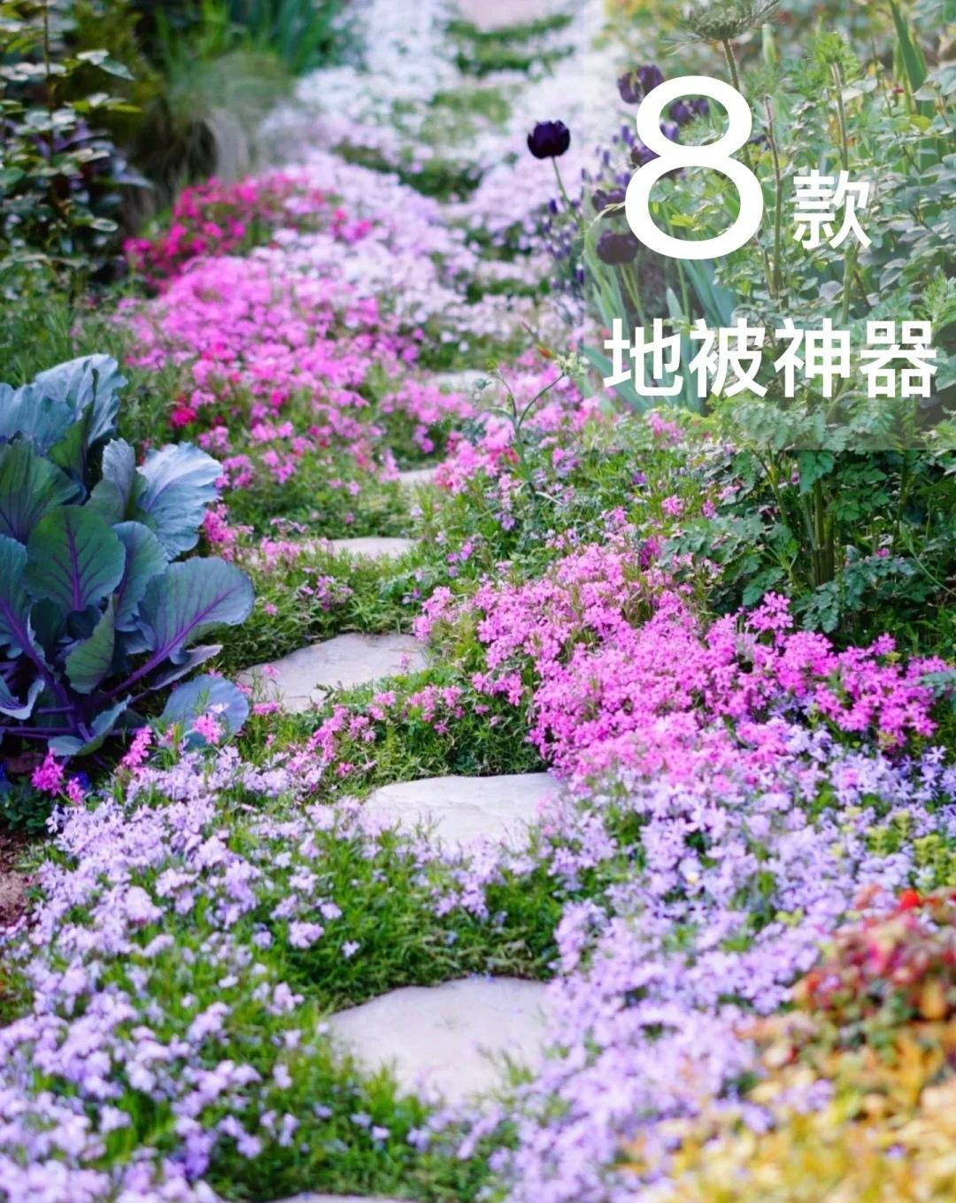 打造庭院花园，不容错过的“地铺神器”，分享给你
条件许可
我愿打造一方小院
闲暇