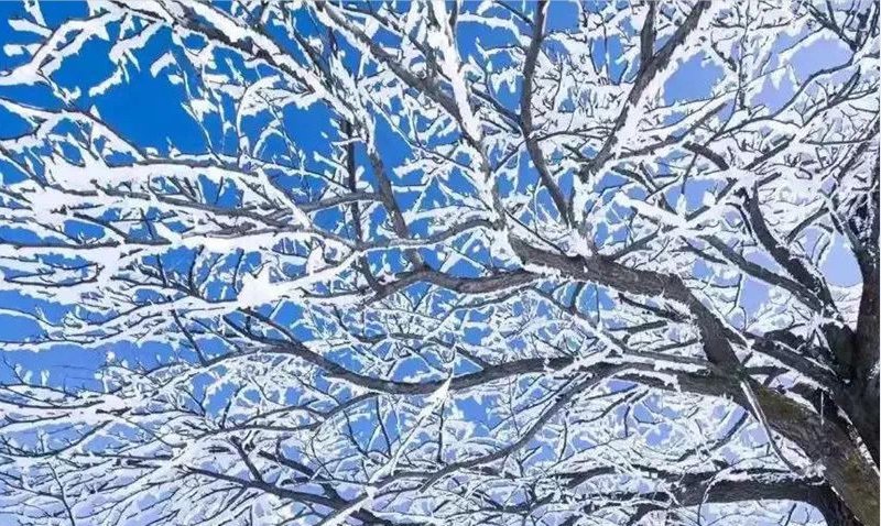 1.南宫山：
冬日的南宫山，薄雾似纱，静谧而纯洁。当山岭、雾凇、溪流、飞瀑等被白