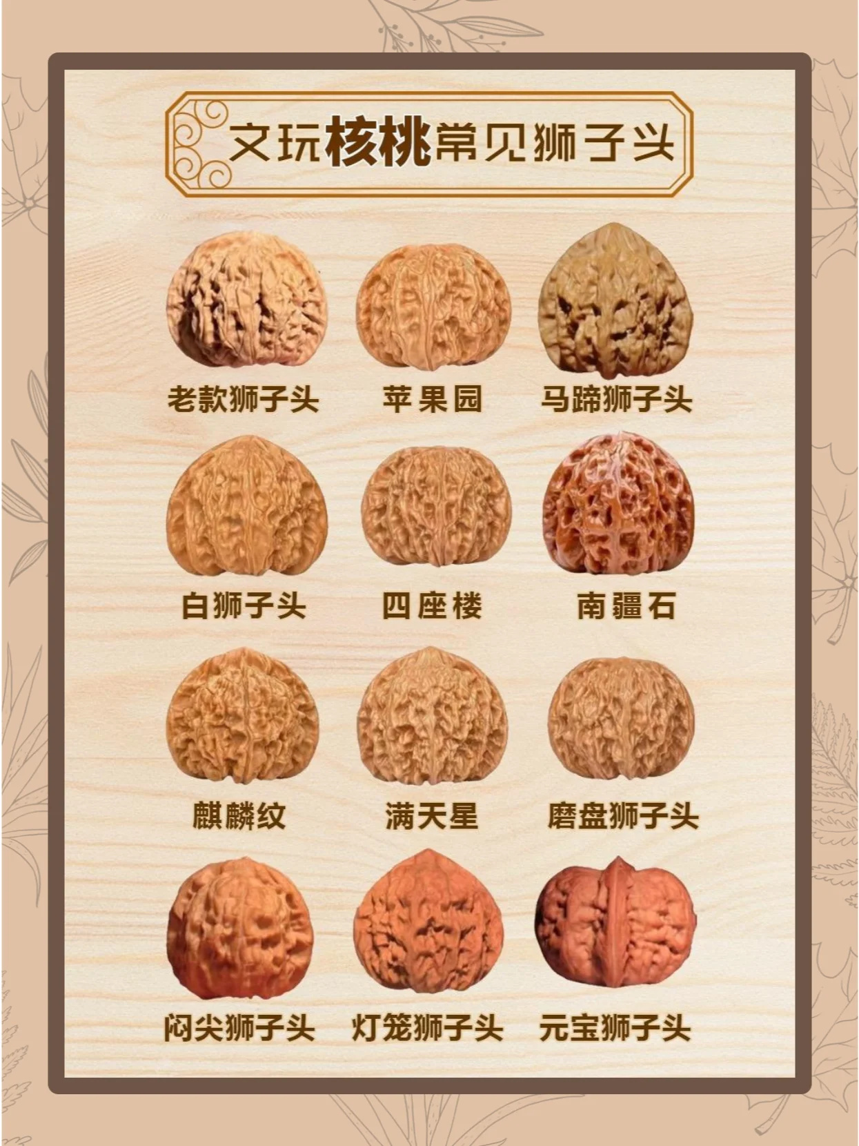 文玩核桃常见的不同种类的“狮子头”