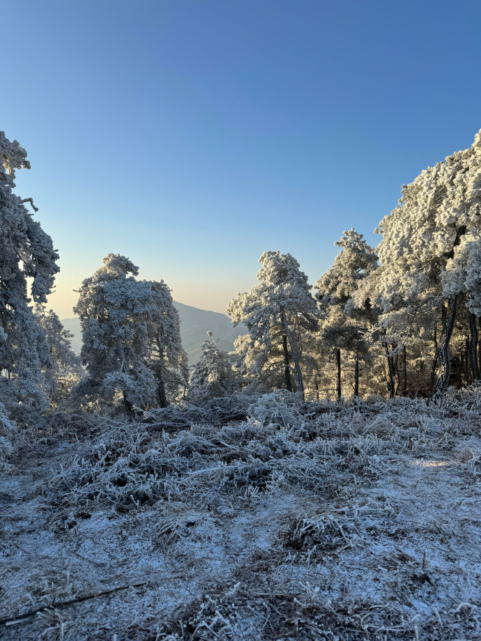 台州·华顶国家森林公园 去看雪