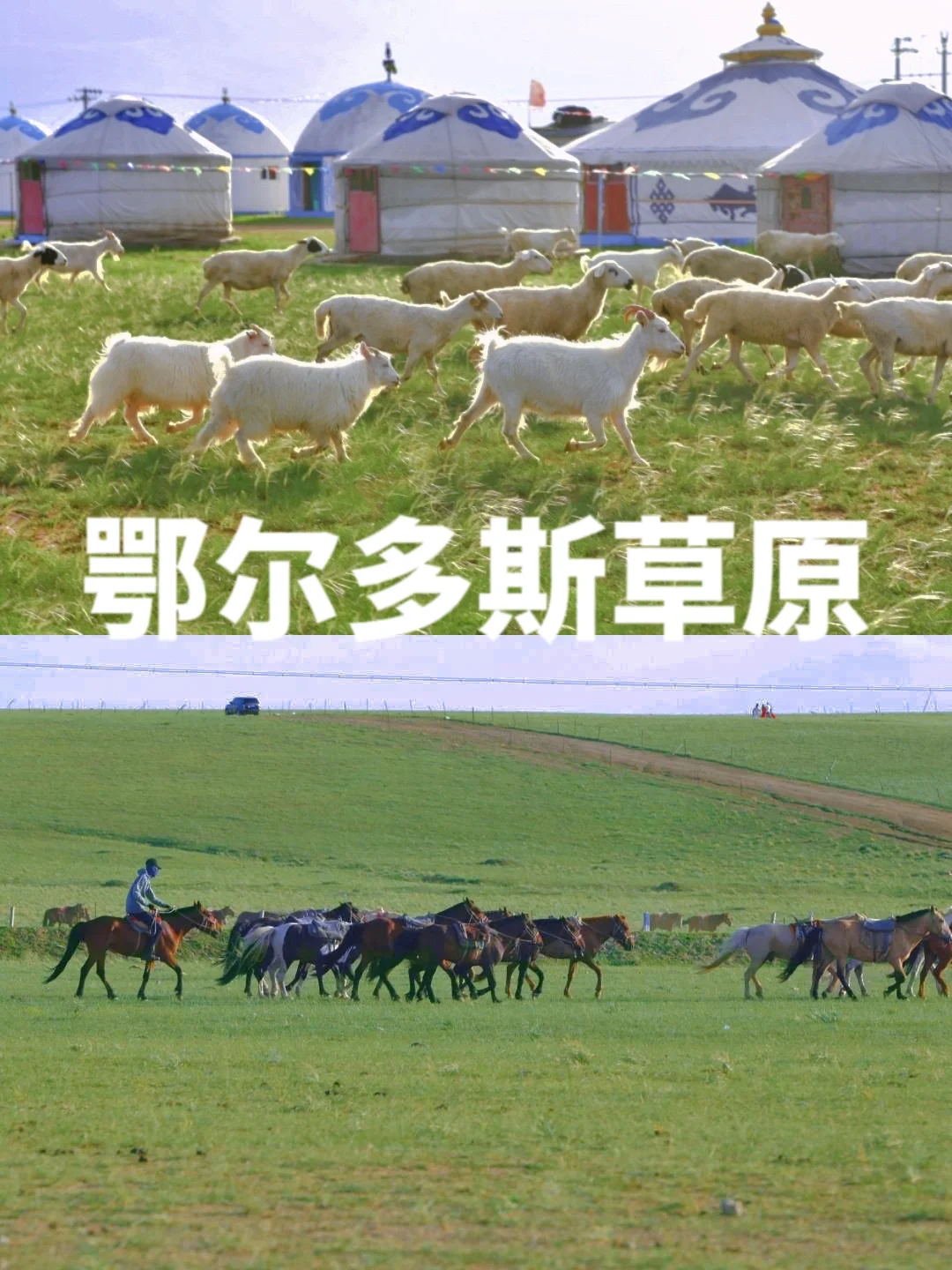 鄂尔多斯亲子游ZUI强攻略❗宝妈必看‼️