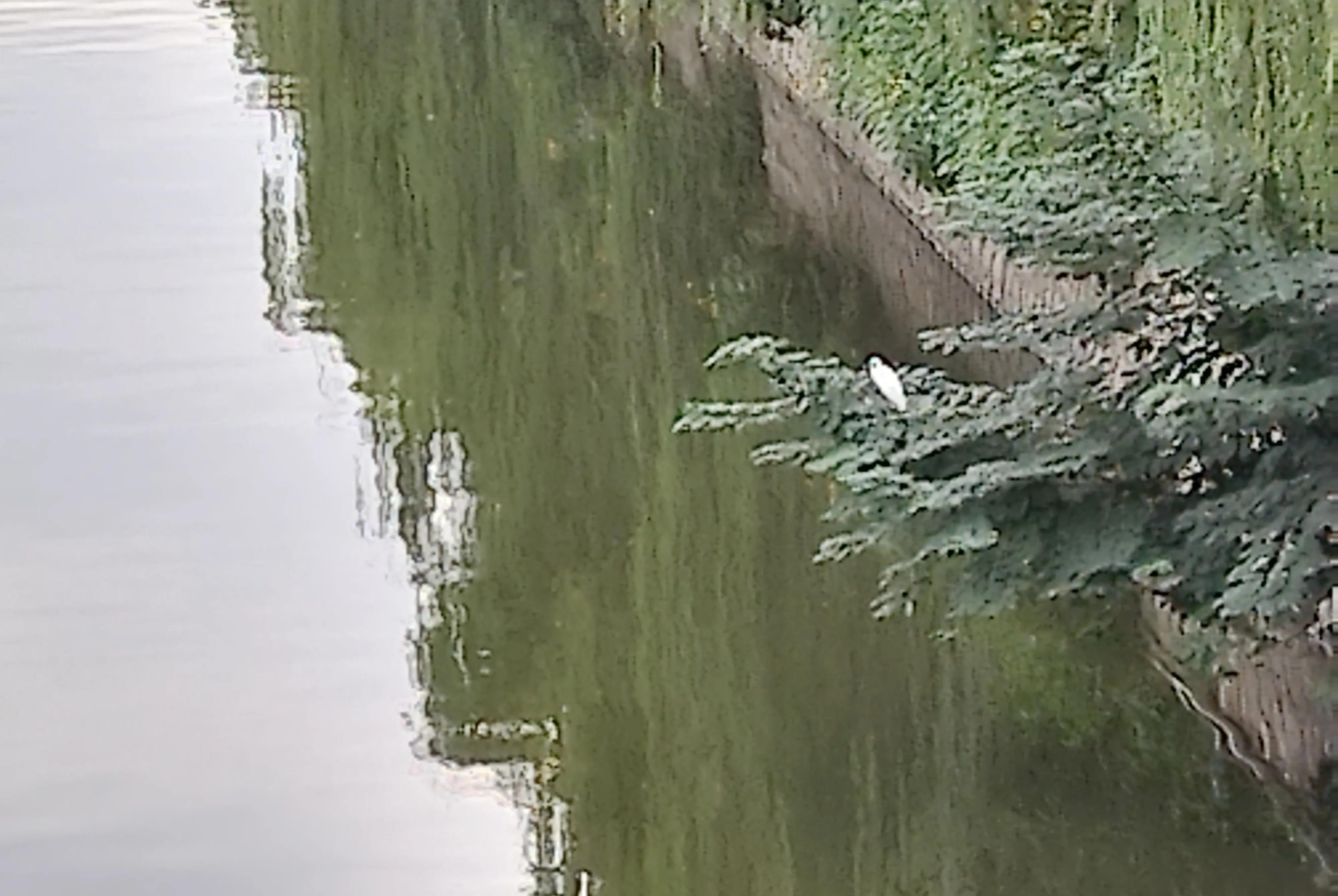 我弟弟马上就要退伍了
国家给了两种补偿方案
第一种方案是补偿75万
第二种补偿方