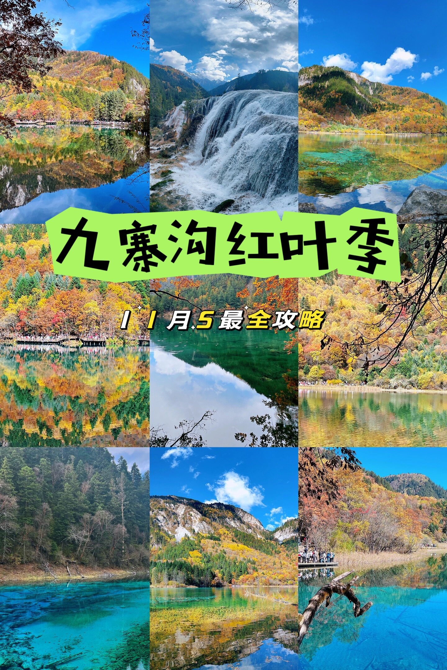 九寨沟彩林季最全攻略，赶紧给我冲冲冲