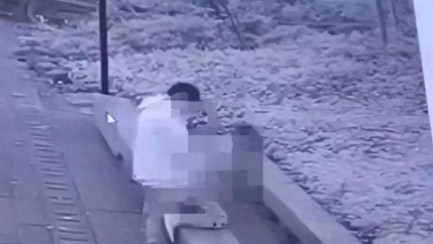 情侣野外爬山，无人小树林上演“活春宫“，不雅视频疯狂遭遇转发