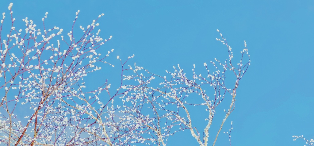 📍| 雪乡·冰雪画廊

❄你以为，一到冬天，防晒霜就可以束之高阁了？但其实，冬