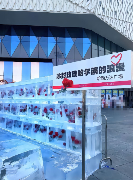 够了！好浪漫！想去哈尔滨的心已经达到巅峰了 ​