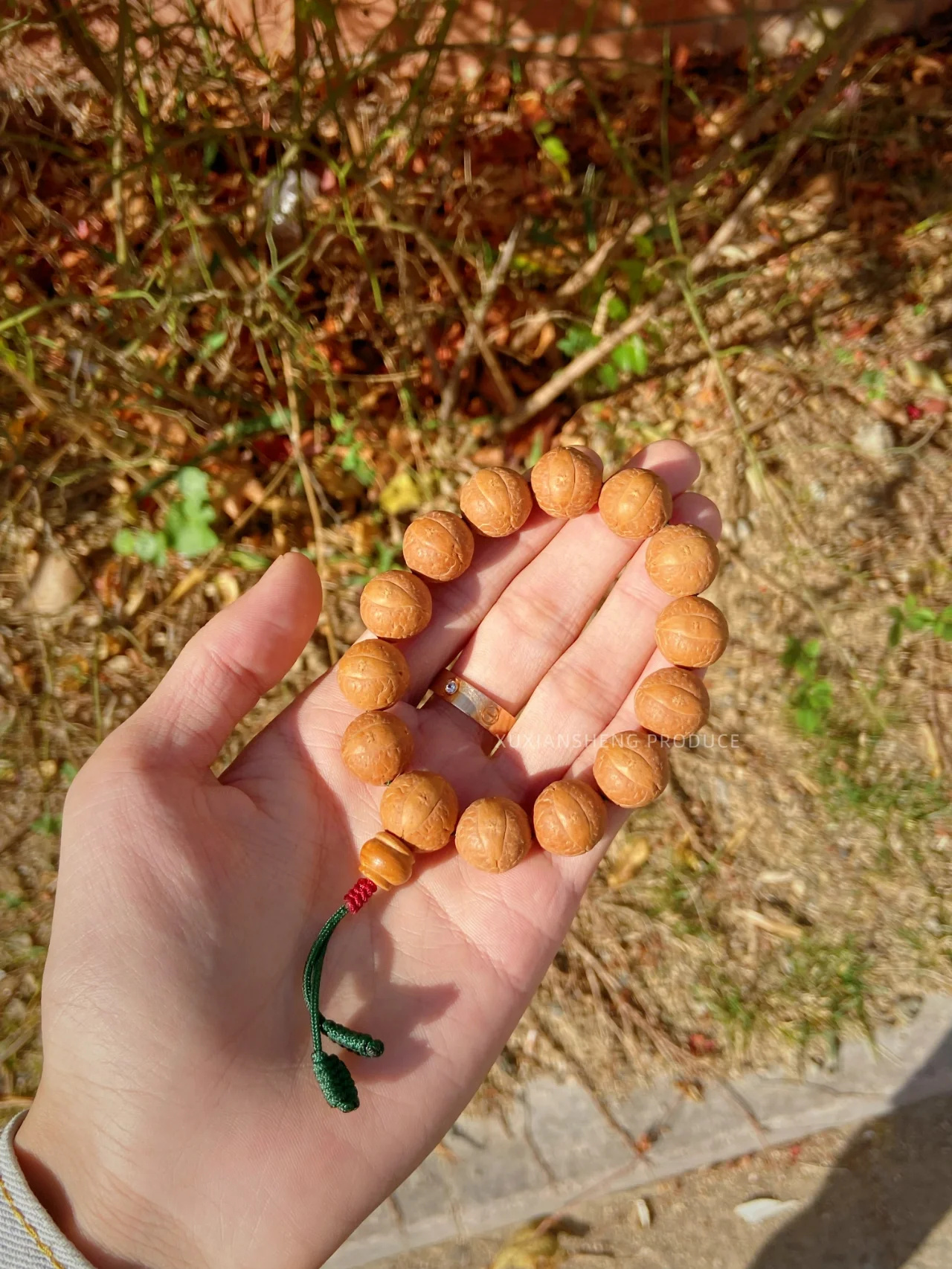 凤眼菩提八大入门必备知识点❗