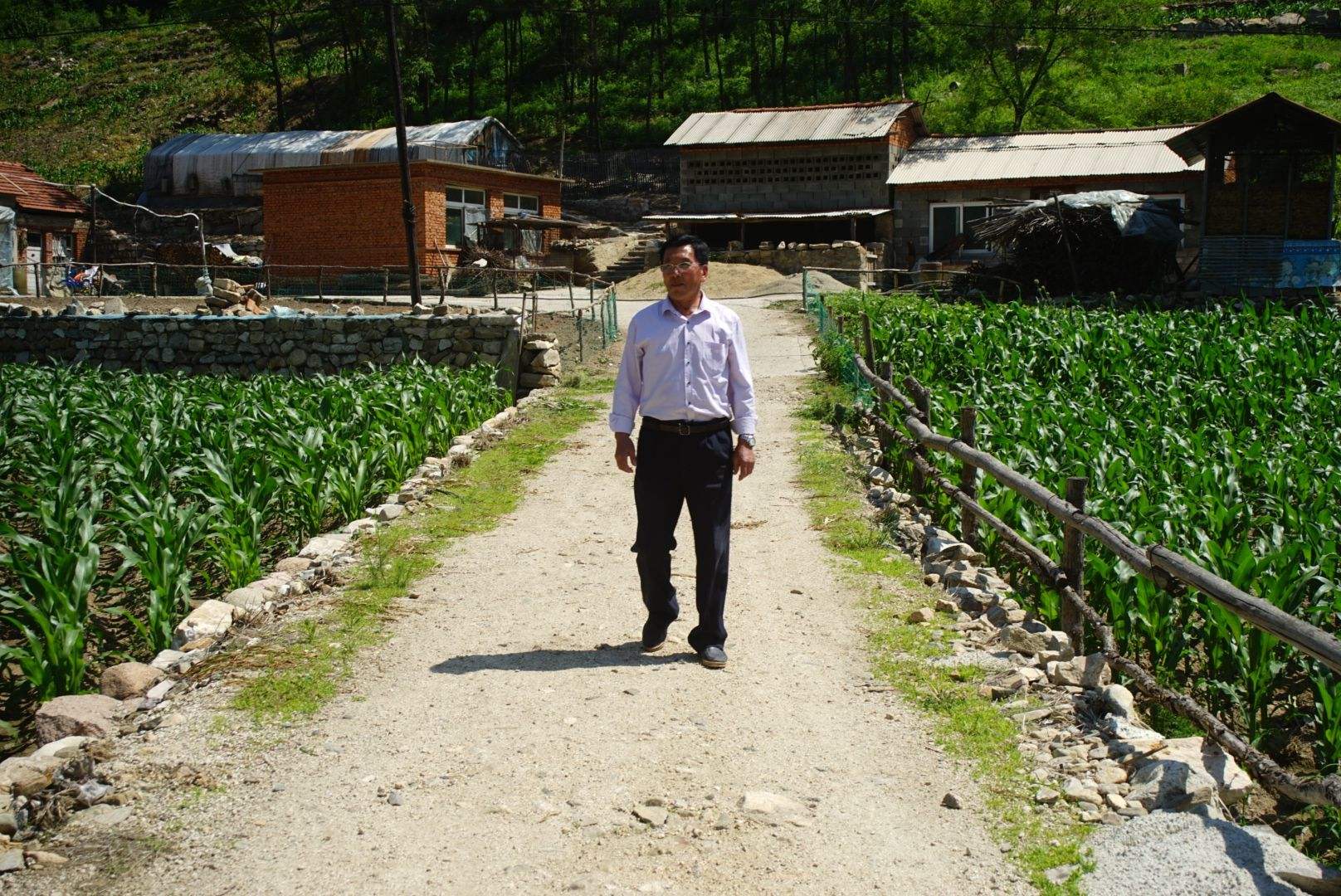 恶霸村支书砸毁水电设备，导致180头猪被渴死饿死，派出所：罚500

恶霸村支书