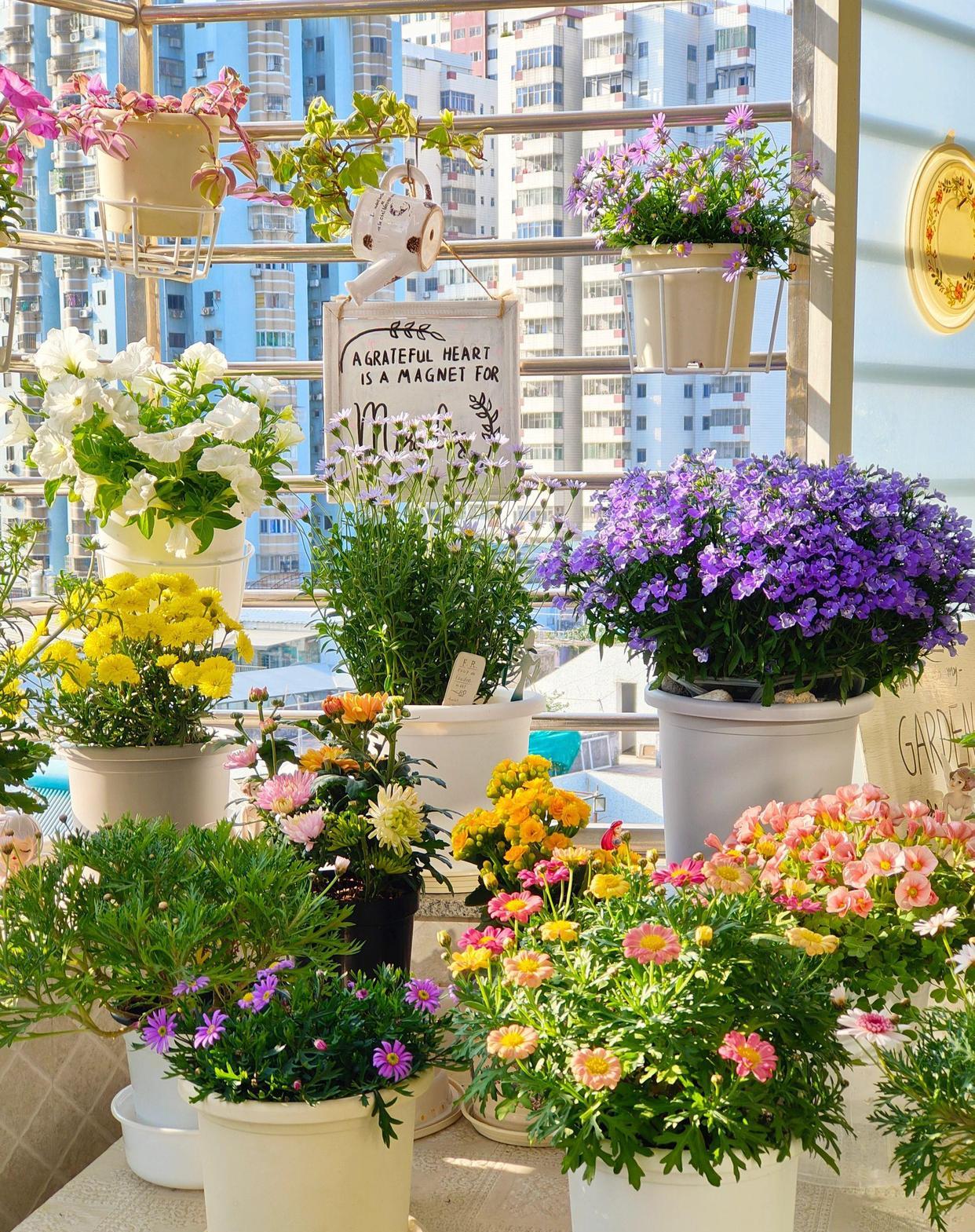 不想交友社交，不想旅游逛街，不想上班，甚至连睡觉都觉得奢侈
这种感觉谁懂



