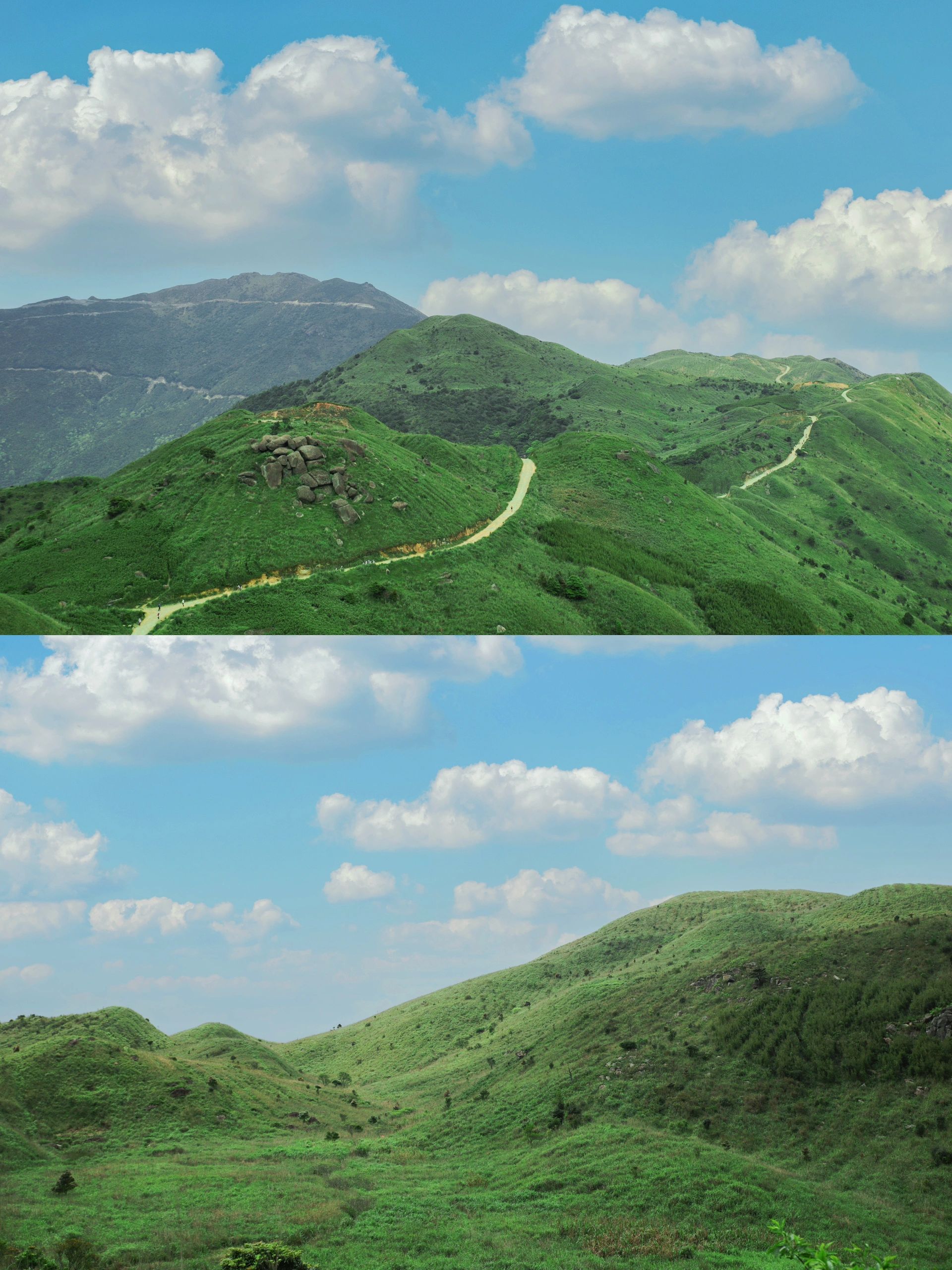 大南山绿了❗️不输武功山的草甸