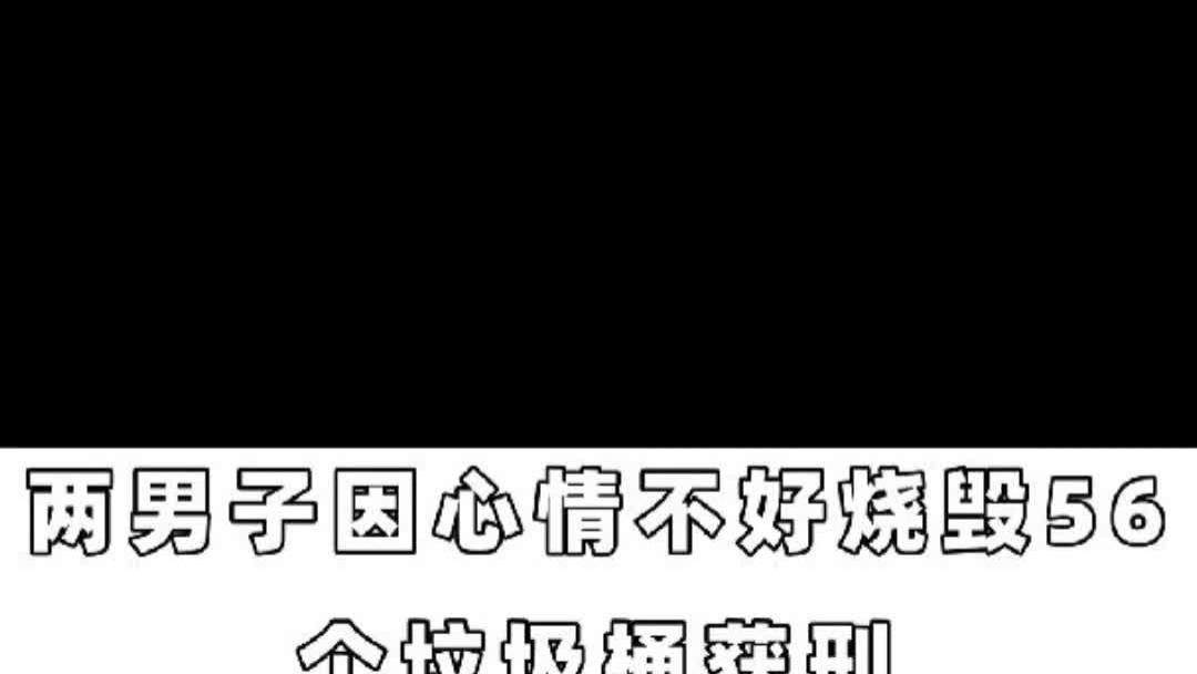 两男子因心情不好烧毁56个垃圾桶获刑