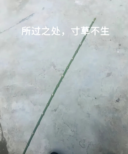 在那个没有WiFi的童年，我们也照样快乐，现在越长大却失去了当时的快乐。 ​​​